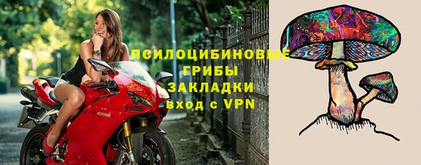 jwh Аркадак