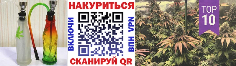 Конопля индика  Светогорск 